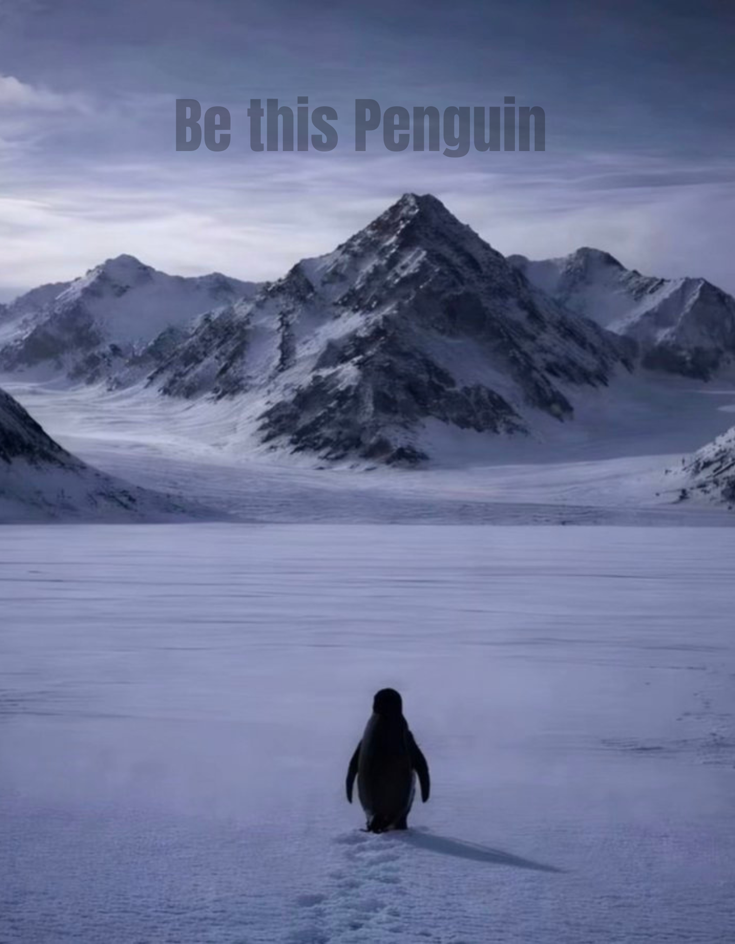 Penguin Unisex Oversized Standard T-Shirt